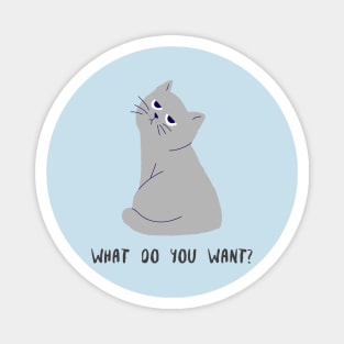 Cat. What do you want? Magnet